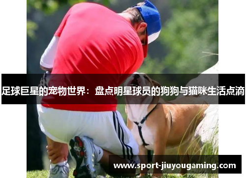 足球巨星的宠物世界：盘点明星球员的狗狗与猫咪生活点滴