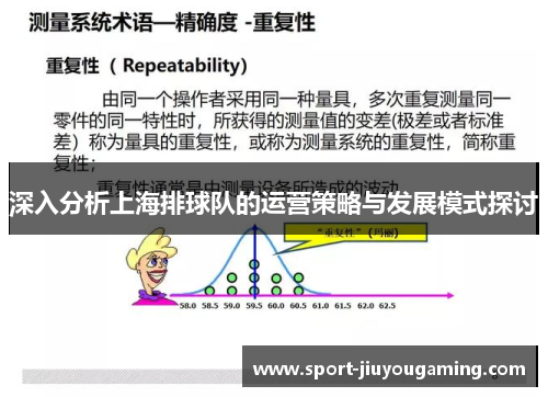 深入分析上海排球队的运营策略与发展模式探讨